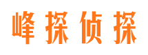 西林市出轨取证